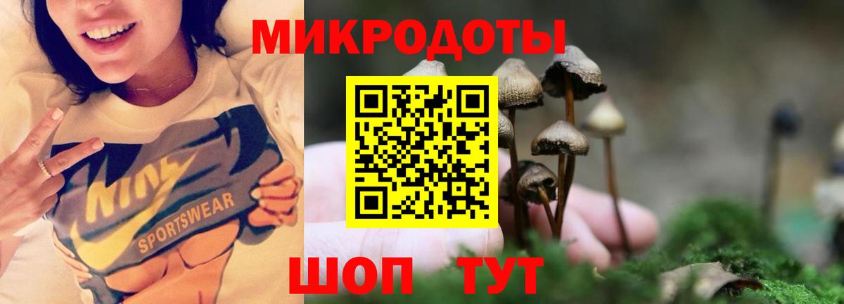 Галлюциногенные грибы прущие грибы Апрелевка